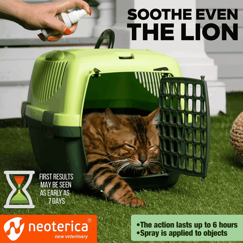 Calming Pheromone Spray Scratch Repellent for Cats Reduce Stress During Travel - Picture 3 of 7
