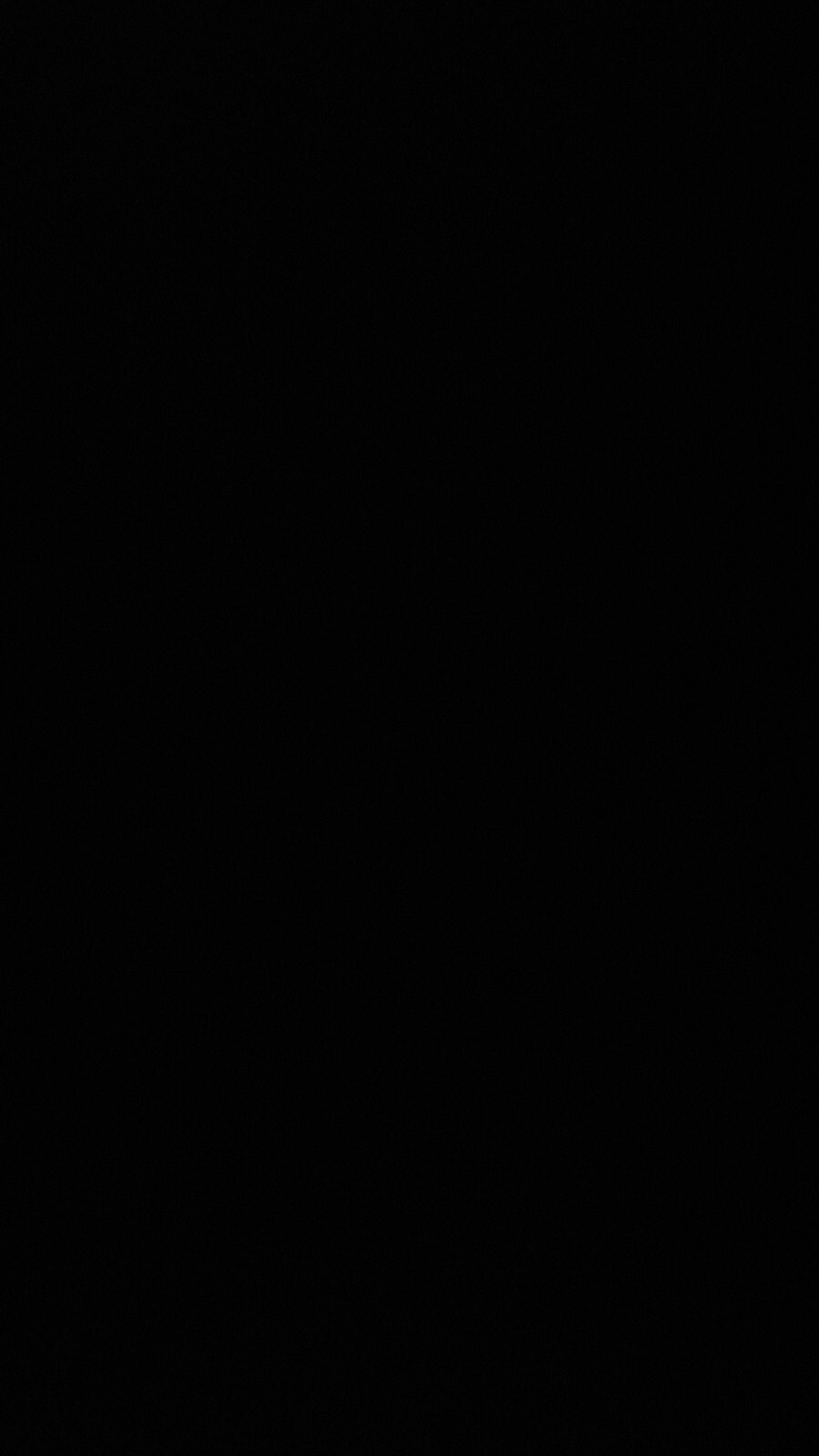 Bild 16 von 16