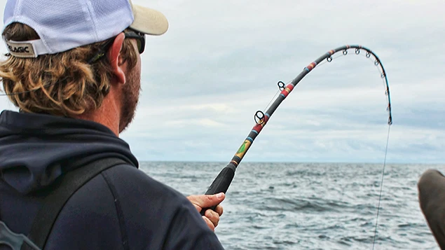 Juego de 4 varillas Rainshadow RCLB grafito en blanco/compuesto de vidrio-elige longitud/potencia Foto 3 de 4