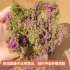 Foto 22 di 36