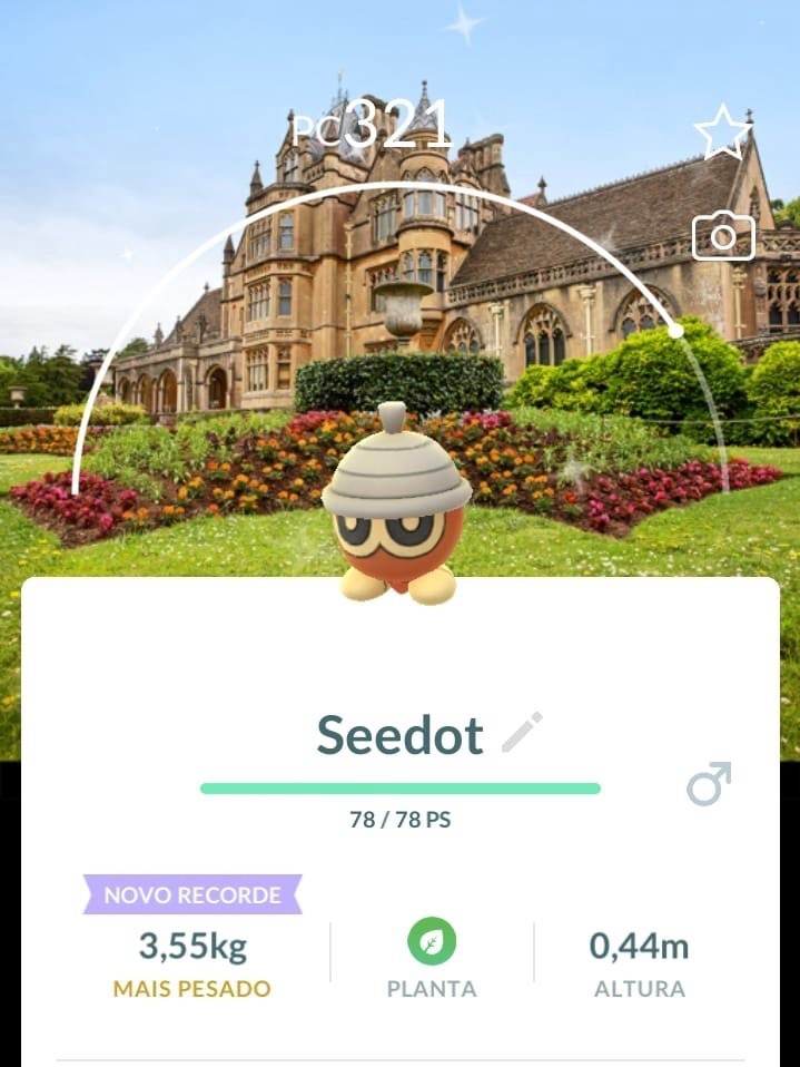 SHINY SEEDOT - BG TYNTESFIELD - NATIONAL TRUST