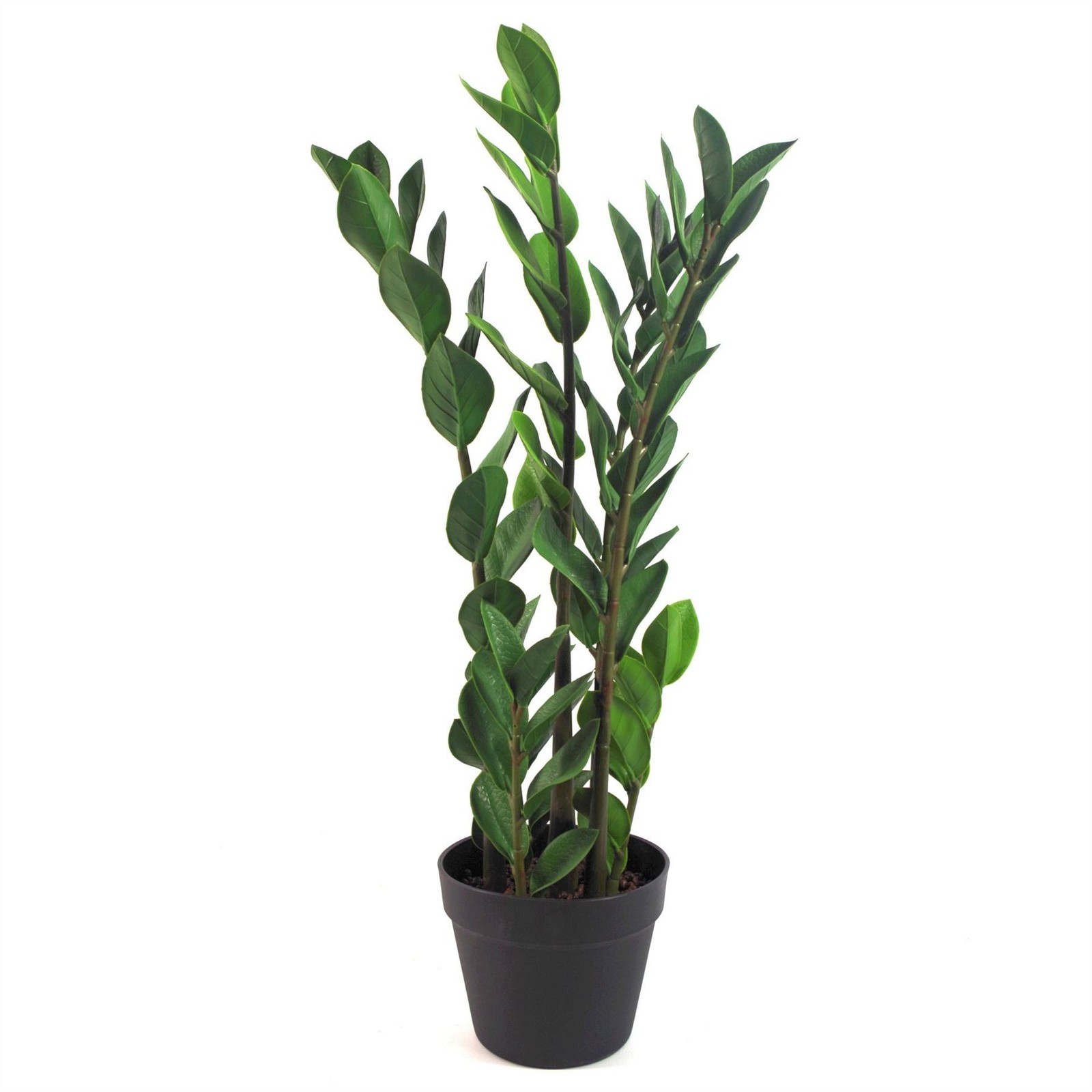 Leaf 75cm Artificial Zanzibar Green Gem Zamioculcas Succulent Indoor Plant - Green - Image 2