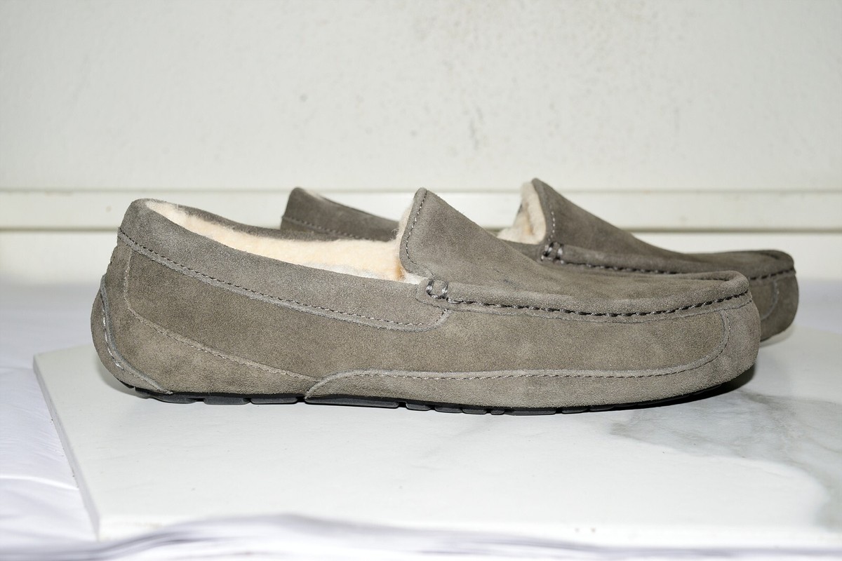 UGG ASCOT SLIPPER SHEARLING LINED Suede Gray Men US 9 | eBay display picture 1