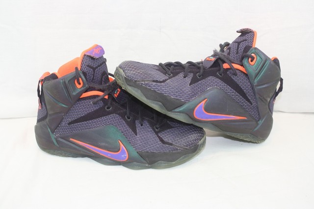 lebron 12 instinct