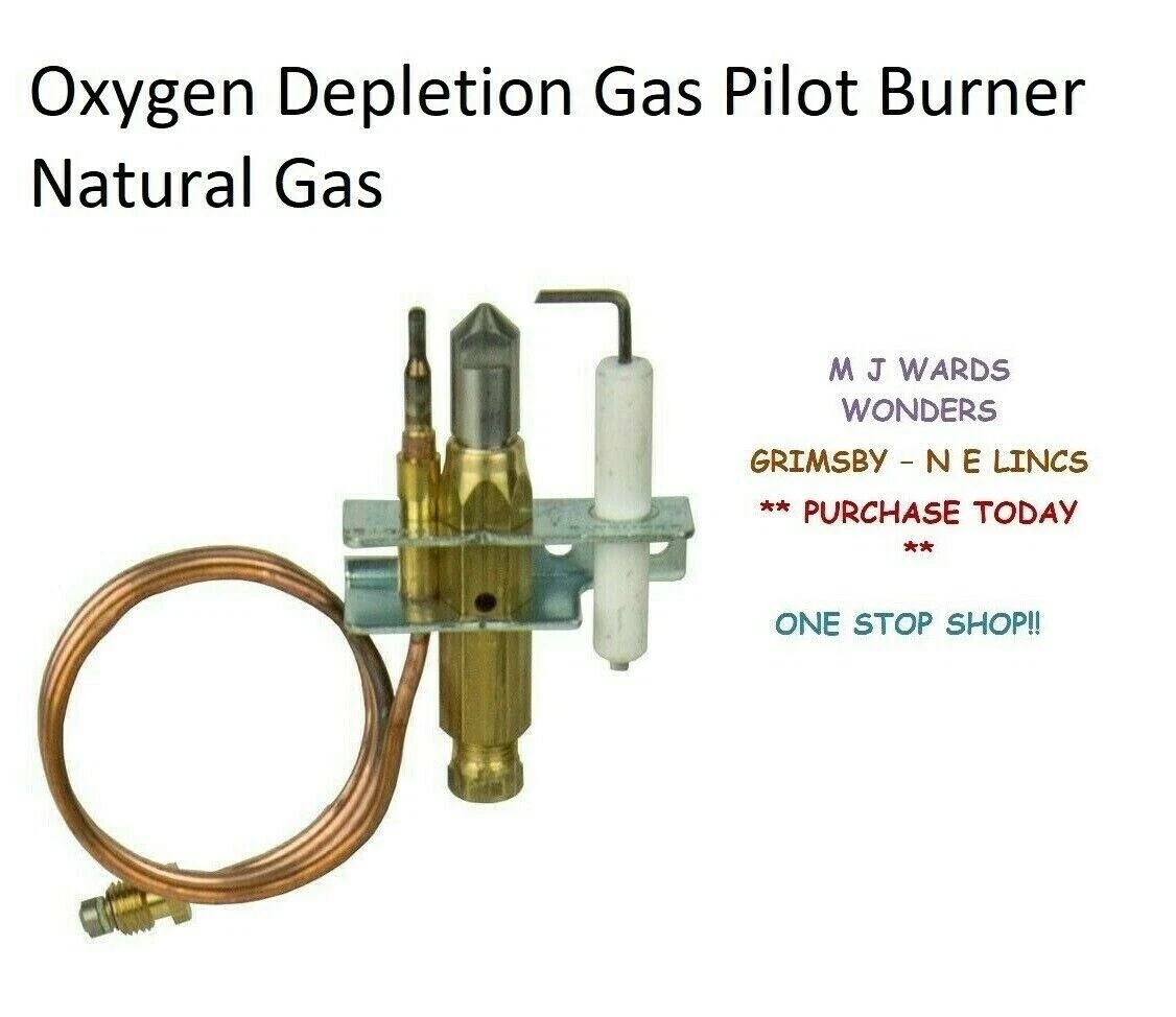 Oxygen Depletion Gas Pilot Burner Natural Gas | eBay 