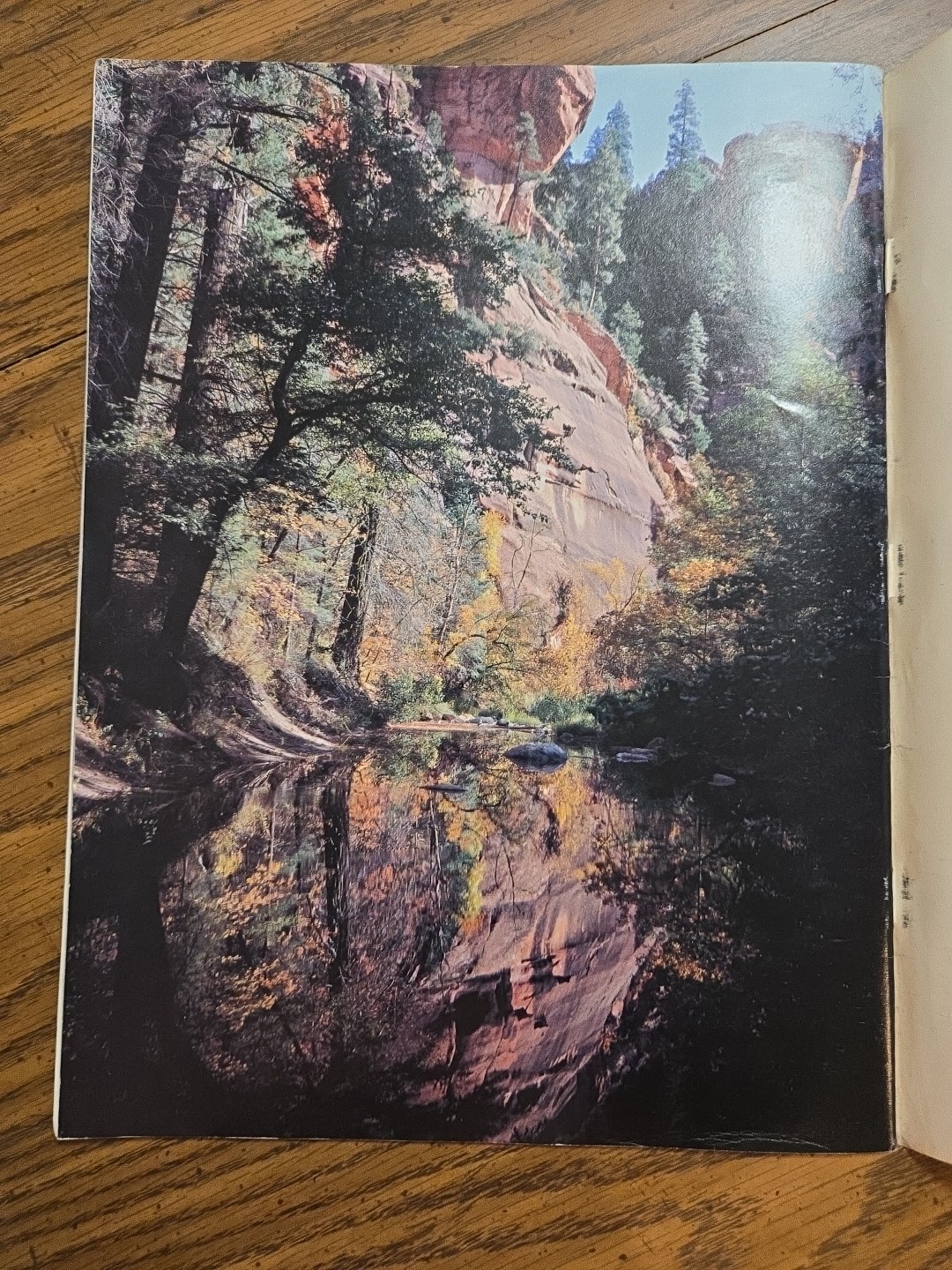 Picture 5 of 5