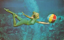 Spring Hill, Florida Postcard Weeki Wachee Mermaid Follies  c 1970s  Z8