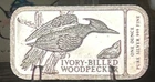 VINTAGE NATIONAL AUDUBON SOCIETY FINE SILVER ART BAR - IVORY-BILLED WOODPECKER