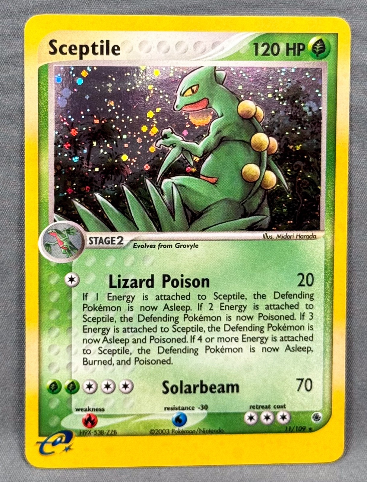 NM Sceptile 11/109 Ruby & Sapphire Pokemon Midori Harada Minor Holo Bleed Error