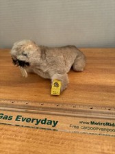 Steiff Wally Walrus Yellow Tag Button Plush Stuffed Animal 1474/10 Austria B3