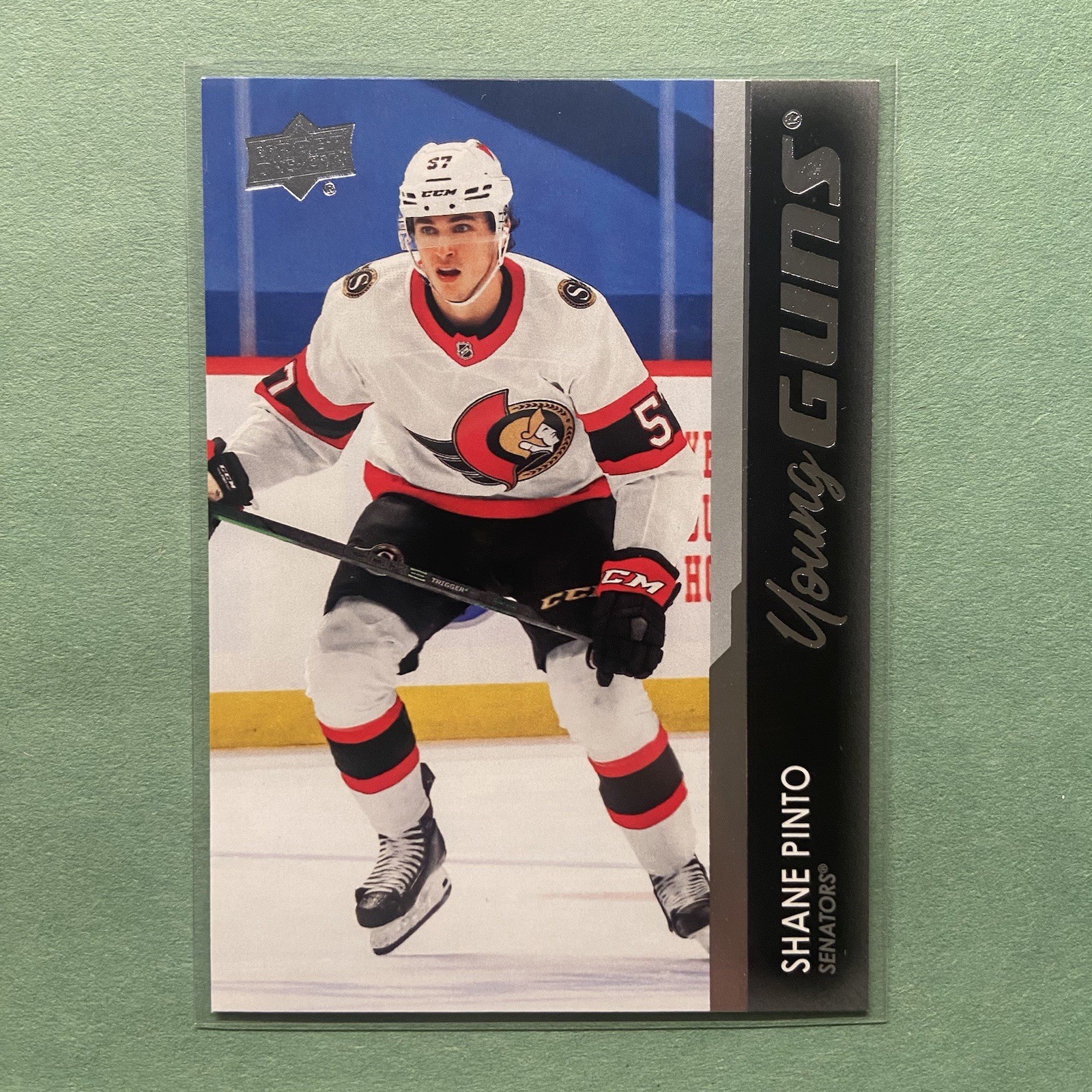 Shane Pinto Young Guns 2021-22 Upper Deck Series 1 Rookie RC #246 Senators