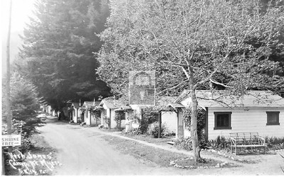 Shrine Tree Herb Jones Camp Cabins Meyers California CA - Reprint