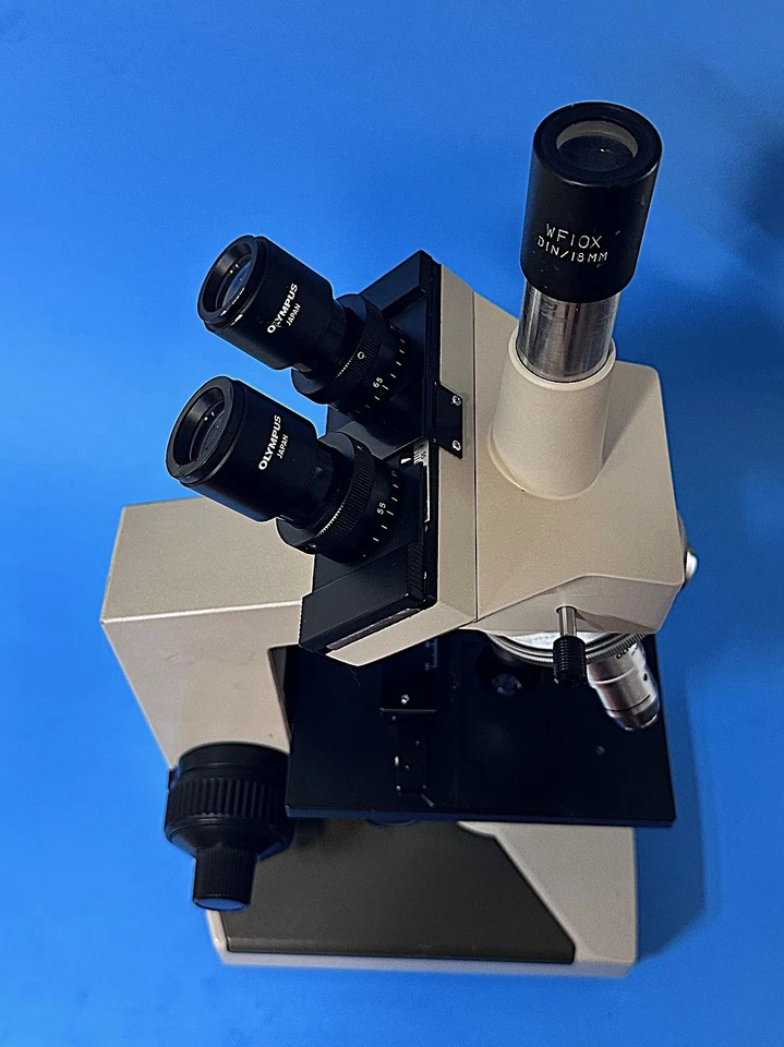 Microscópio trinocular Olympus CH-2 CHS com lentes 4X 10X 40X 100X - Imagem 3 de 4