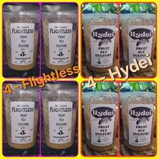Flightless Fruit Fly Cultures 4 Pack 4 Pack of Hydei Total of 8 CULTURES
