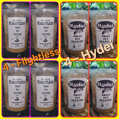 Flightless Fruit Fly Cultures 4 Pack+ 4 Pack of Hydei Total of 8 CULTURES