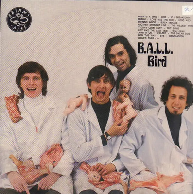 B.A.L.L. Bird NEAR MINT Shimmy Disc Vinyl LP