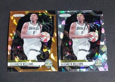 ELIZABETH WILLIAMS 2024 Panini Prizm WNBA Basketball Card Orange Ice #24 Sky