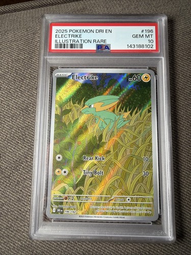 Electrike graded PSA 10 for sale on eBay