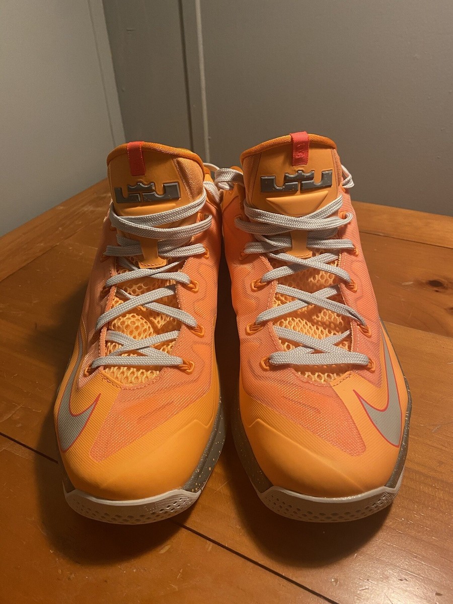 Size 11.5 - Nike Max LeBron 11 Low Floridian 2014 | eBay display picture 1