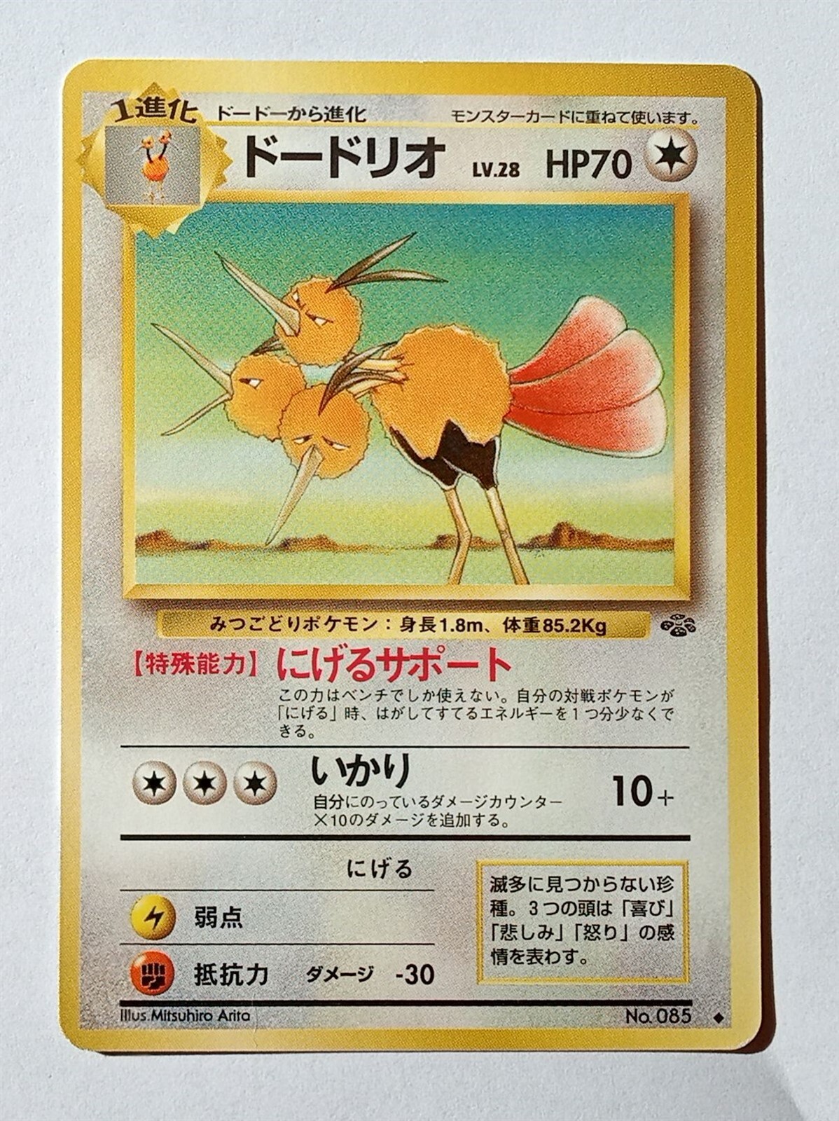 Pokemon - Dodrio (Japanese) - Jungle 085 - Uncommon - NM