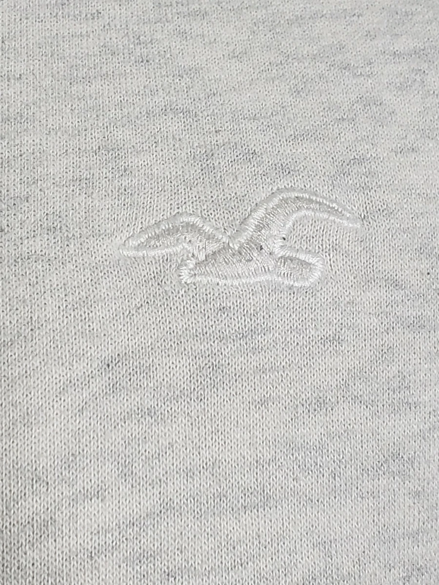 Hollister colorblock store logo hoodie