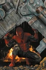 Panini SPIDER-MAN RADIOACTIVE No. 2 of 3 VARIANT AMAZING VISIONS BY LEE BERMEJO