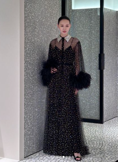 Valentino Feather-trimmed Embroidered Gown Black Evening Dress - RRP$45K