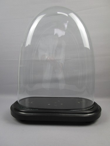 Glasdom / Stolp mit Holzsockel - Höhe 50 cm - Breite 42 cm - Tiefe 20 cm - oval