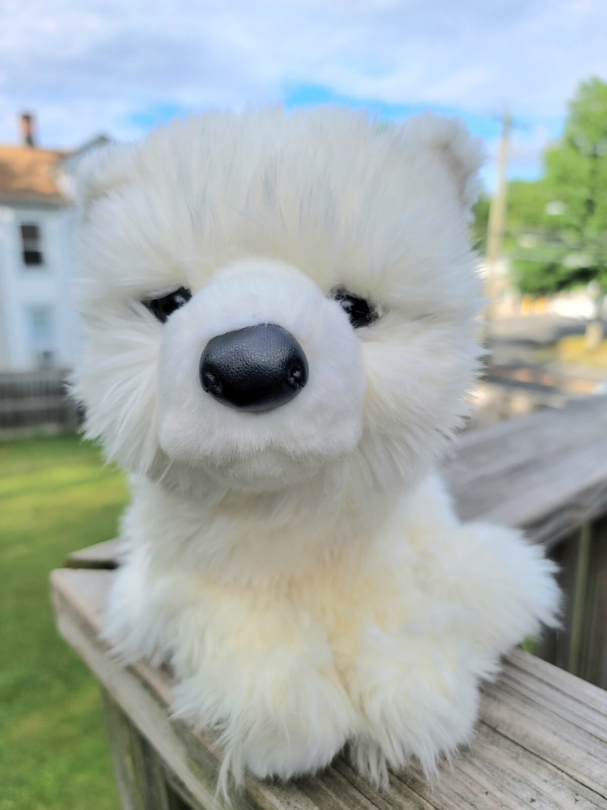 samoyed plush animal
