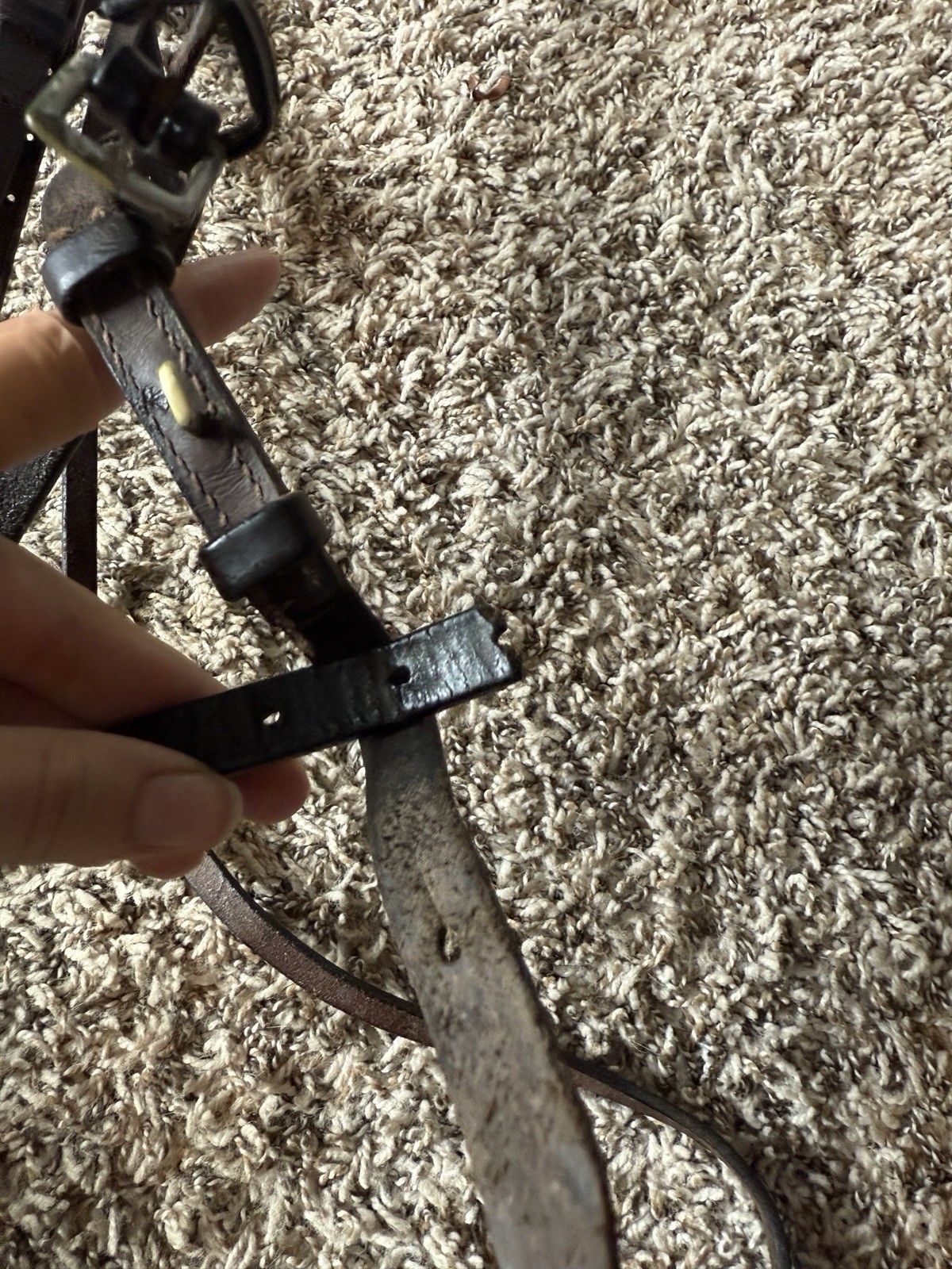 Horse size brown leather schooling english bridle (no reins)