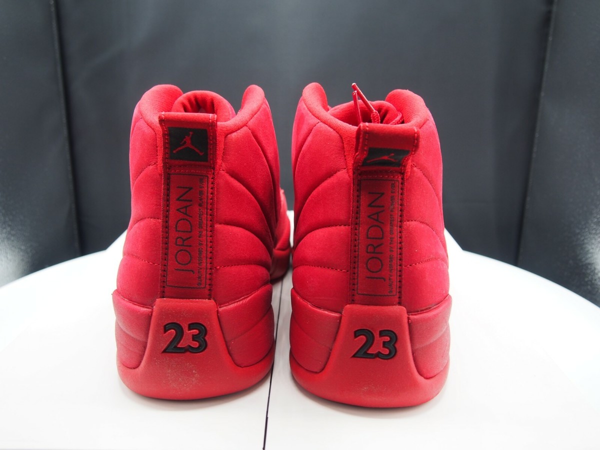Nike Air Jordan XII 12 Retro 