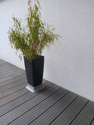 Stefanplast Pflanzkübel 55 cm * 24 cm. Kunststoff Schwarz mit silbernem Sockel