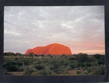 F1823 Australia NT Uluru Ayers Rock Sunrise APM PU1981 postcard