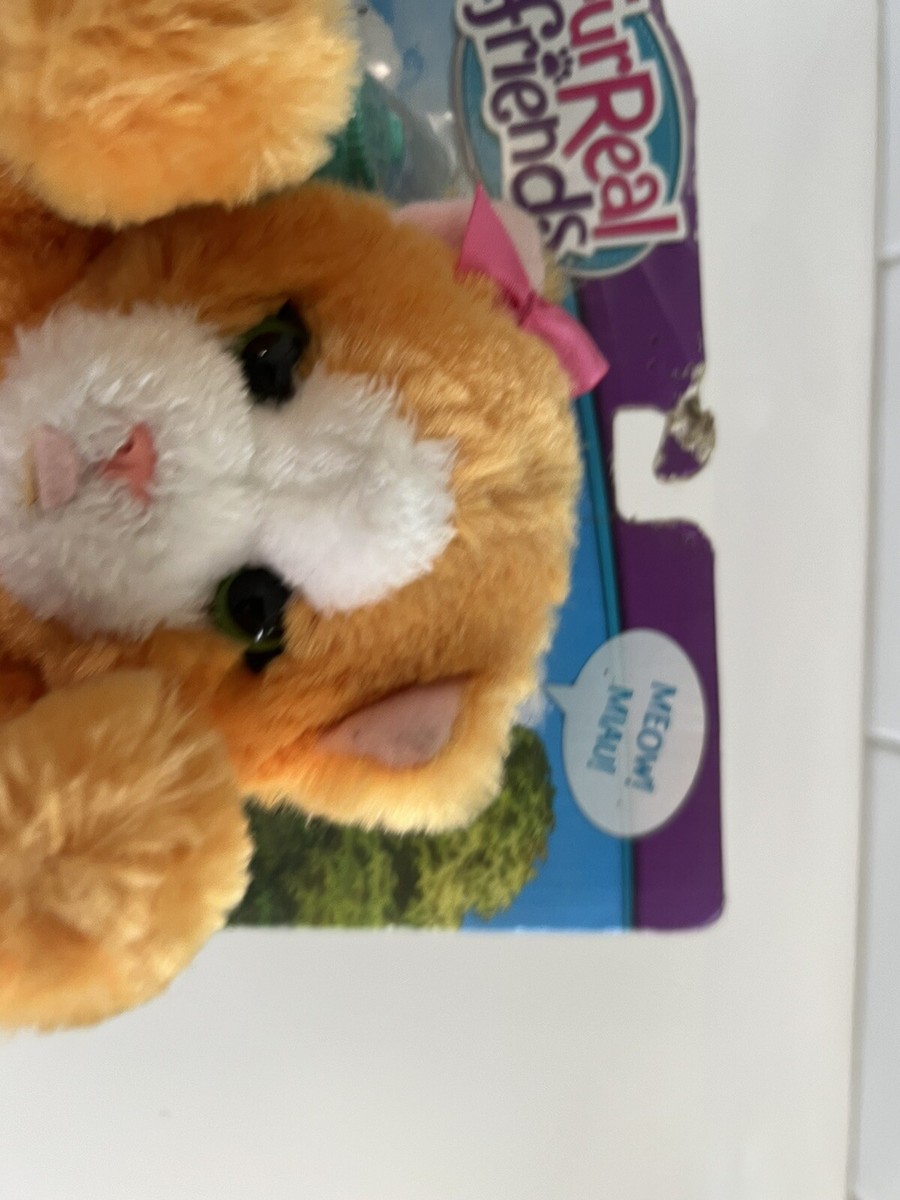 Daisy Real Friends Toys Hasbro FurReal Friends Lil Big Paws Peek