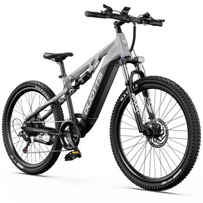 DUOTTS eBike 250W BAFANG Motor Elektrofahrrad 48V 13.5AH Akku E Mountainbike E29