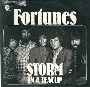 The Fortunes Storm In A Teacup Vinyl Single 7inch Capitol