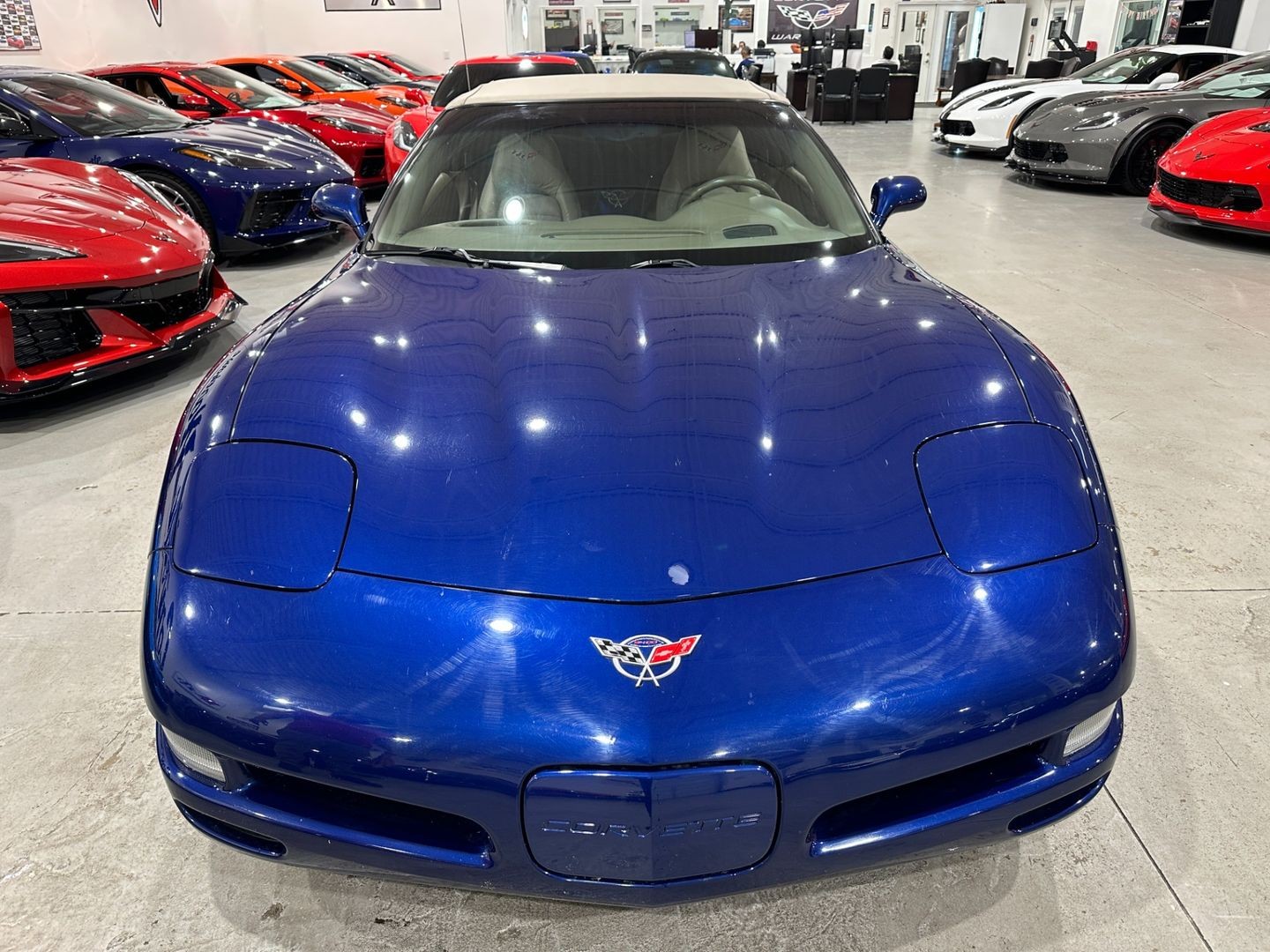 2004 [19U] LeMans Blue Chevrolet Corvette   | C5 Corvette Photo 8