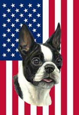 Boston Terrier American Flag