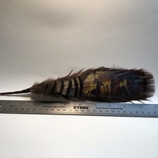 Cowboy Hat Feather Western, Stetson, Resistol, Style,American Indian Pony Round