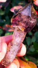 51g SCEPTERS! Diamond! Super Seven Skeletal Hair Amethyst Quartz Crystal ip1848