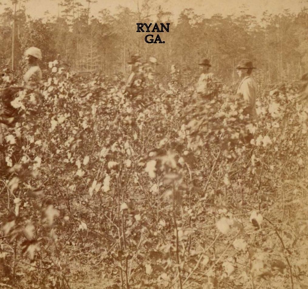 Vintage Stereoscope 1880 Stereoview, Contemporary Image for sale