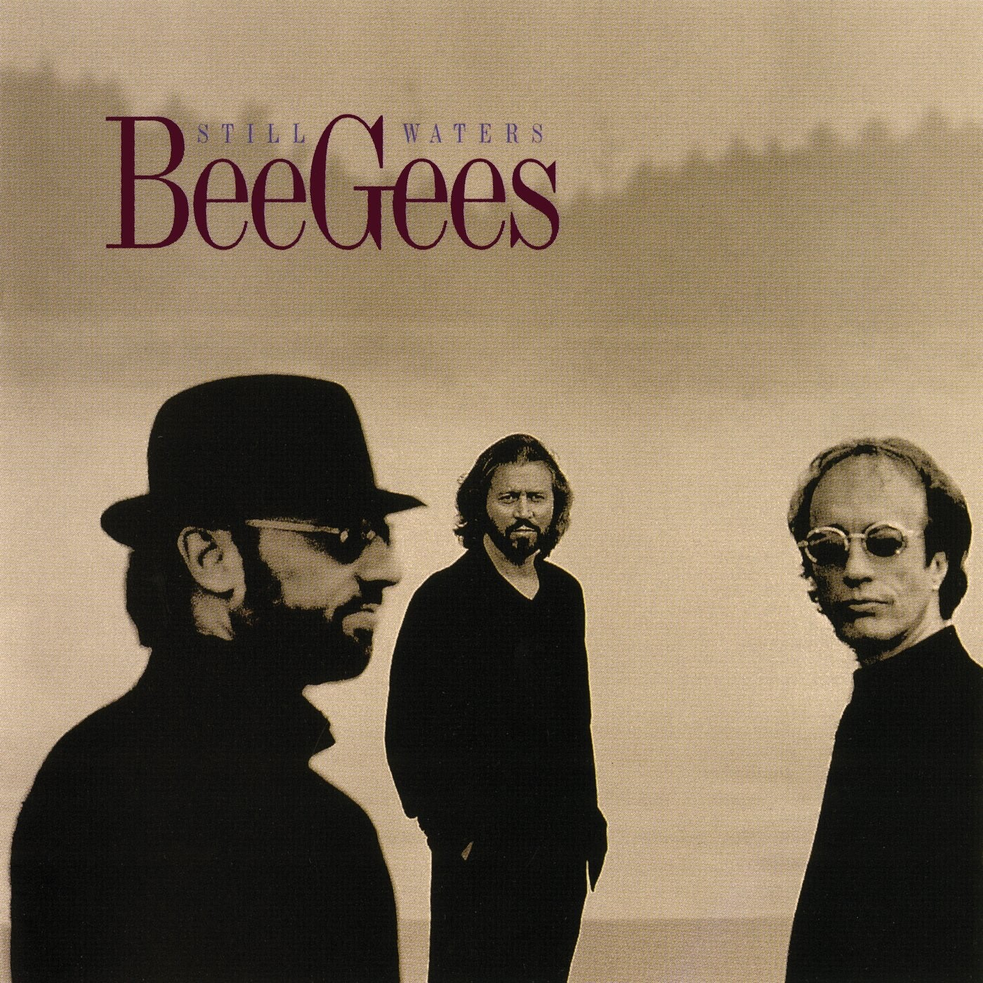 Bee Gees - Bee Gees - Still Waters CD (1998) FREE SHIPPING