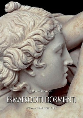 Luca Mancinotti Ermafroditi Dormienti (Taschenbuch)