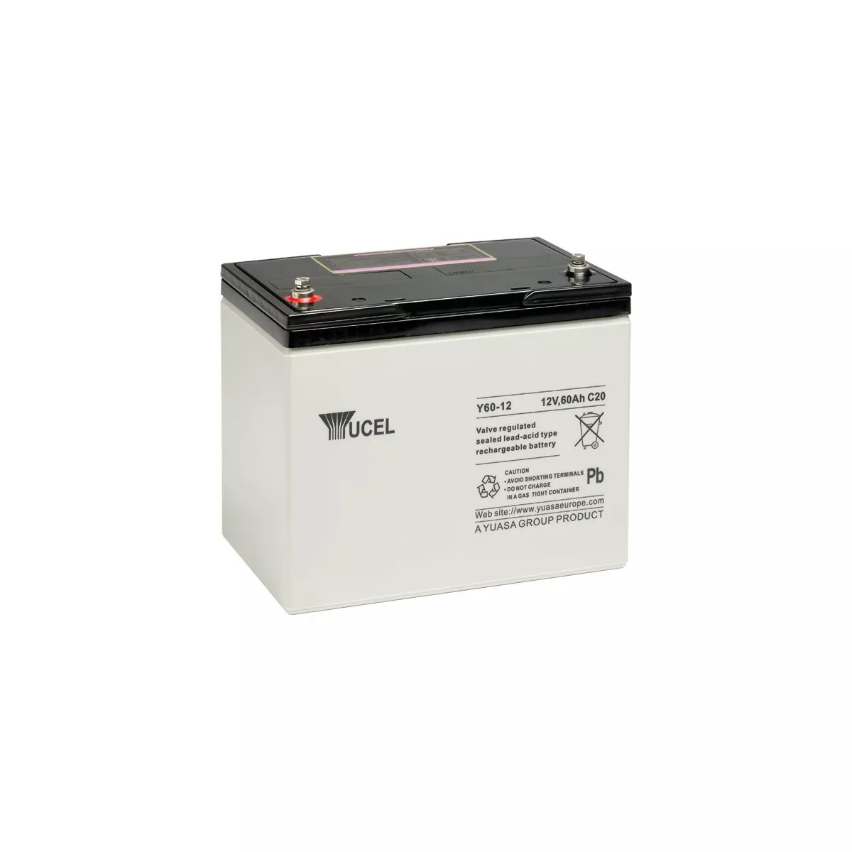 Batterie Yuasa Yucel Y60-12 avec technologie AGM sans entretien à décharge lente
