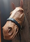 Cliff Barnsby Crank Caveson • Cob Size • Black Leather NOS – English Tack — photo 2