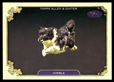 2024 Topps Allen & Ginter Gold Border Nimble #SOS-34