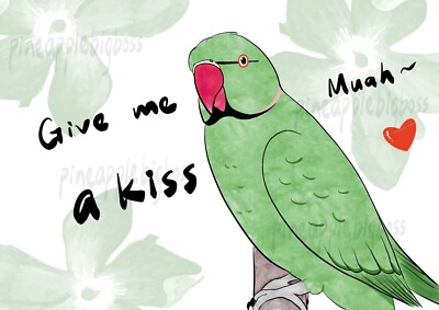Ringneck Parrot Sticker (green) (give me a kiss)