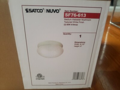 Satco Nuvo Light SF76-613 White 2-Light 9-1/2''W Flush Mount Bowl Ceiling Fixture