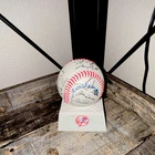New York Yankees Team Autographed Collectors Baseball with Logo Stand