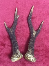 PAIR OF ROE DEER ANTLERS , 169g. aprox. 20/21cm.